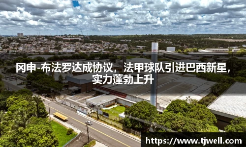 333体育官网