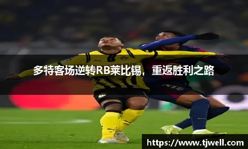 333体育官网