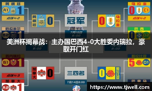 333体育平台