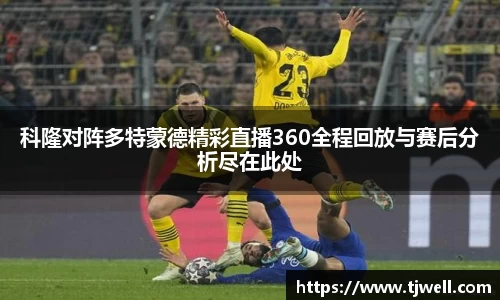 333体育官网